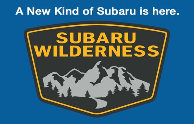 Subaru Wilderness | Stevens Creek Subaru in Santa Clara CA