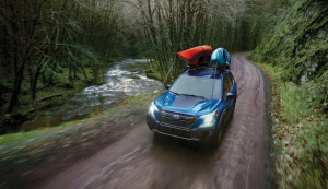 2024 subaru forester san jose, ca