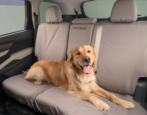 subaru pet accessories san jose, ca