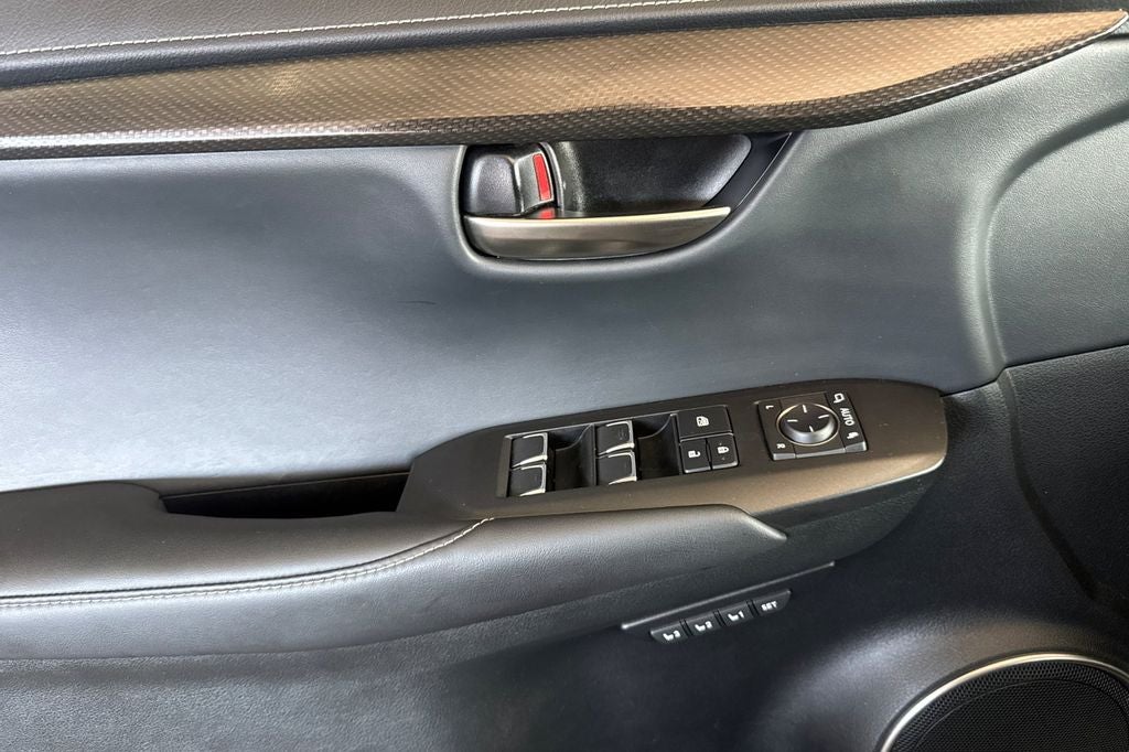 2019 Lexus NX 300h