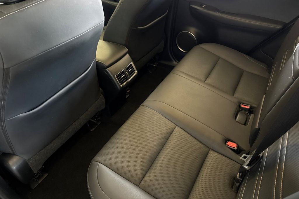 2019 Lexus NX 300h