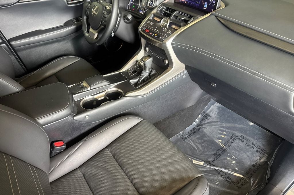 2019 Lexus NX 300h