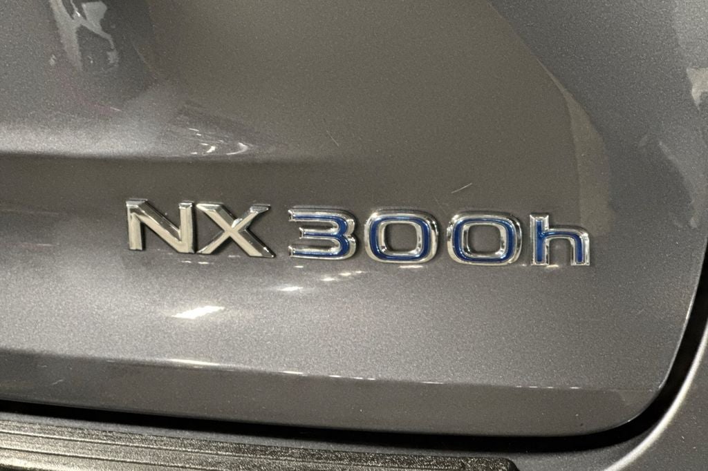 2019 Lexus NX 300h