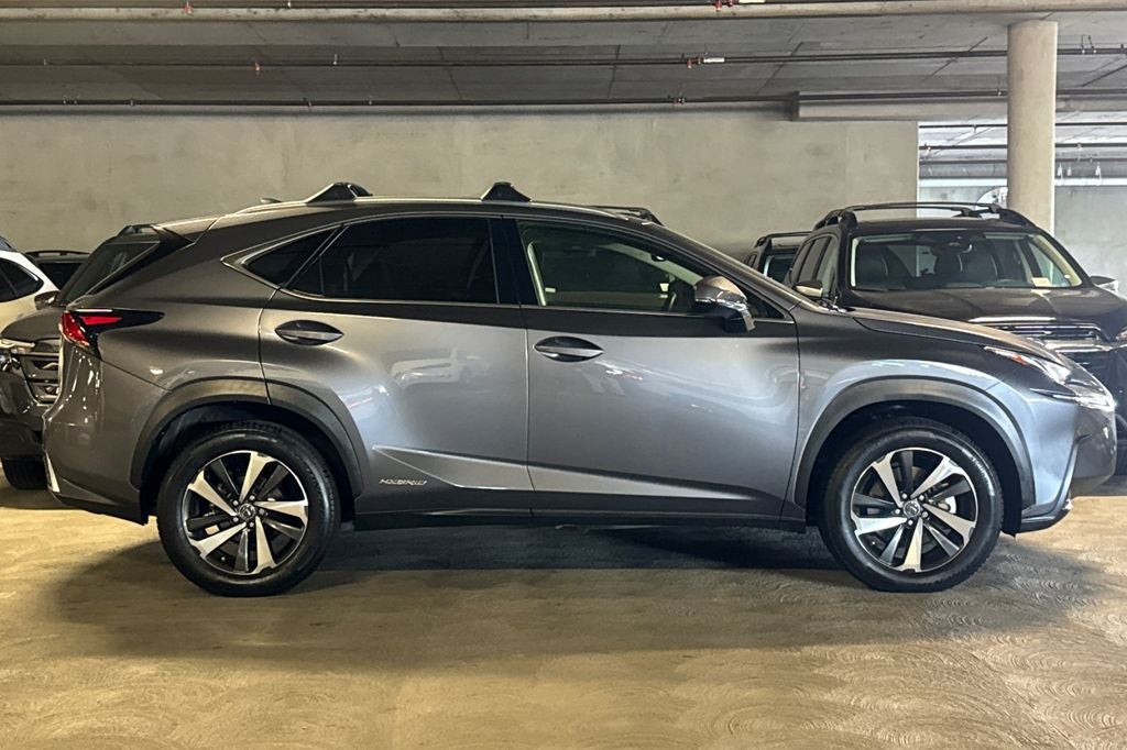 2019 Lexus NX 300h