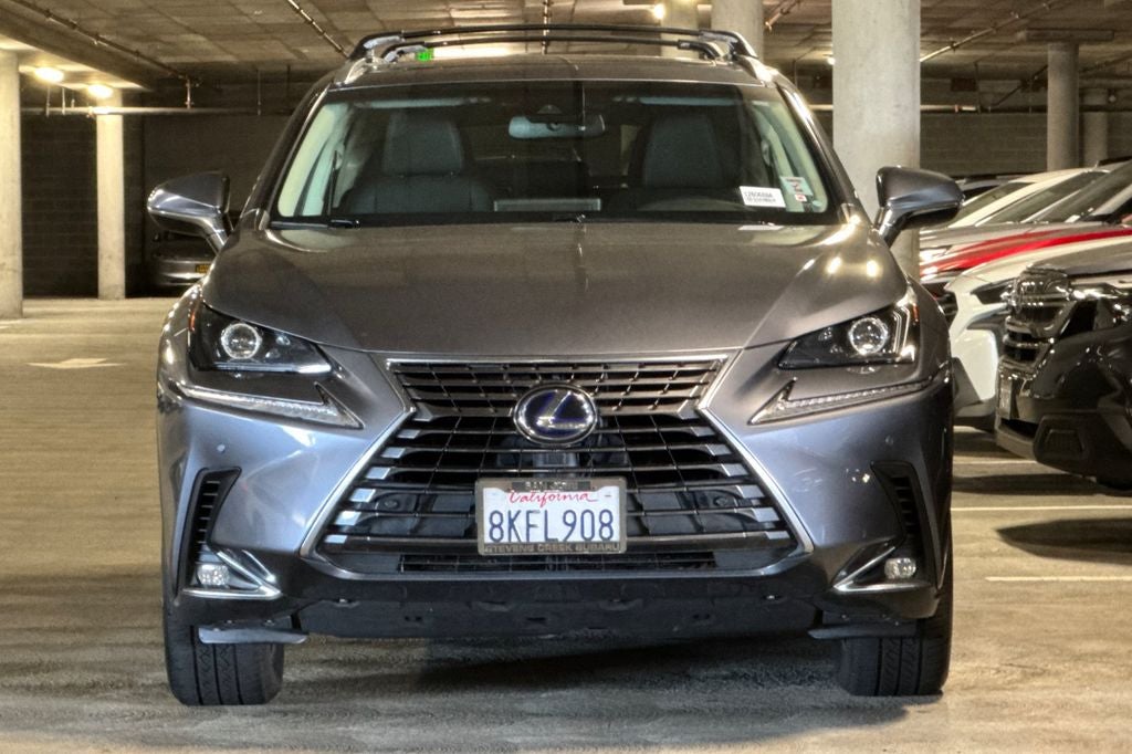 2019 Lexus NX 300h