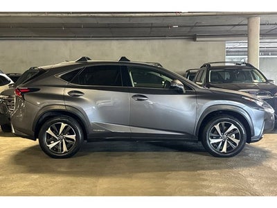 2019 Lexus NX 300h