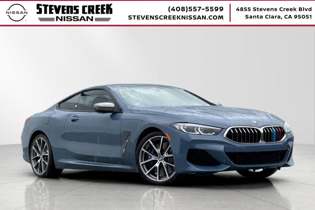 2019 BMW 8 Series's photo