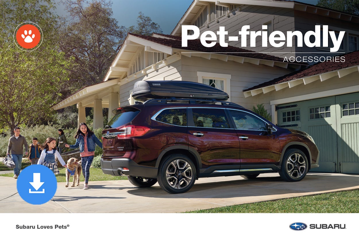 Stevens Creek Subaru in Santa Clara CA