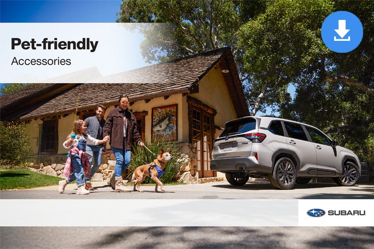 Stevens Creek Subaru in Santa Clara CA