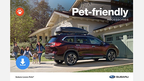 Stevens Creek Subaru in Santa Clara CA