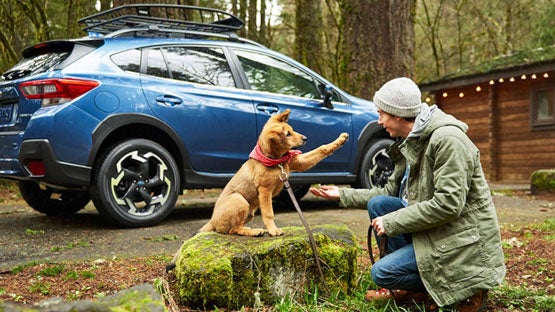 Stevens Creek Subaru in Santa Clara CA