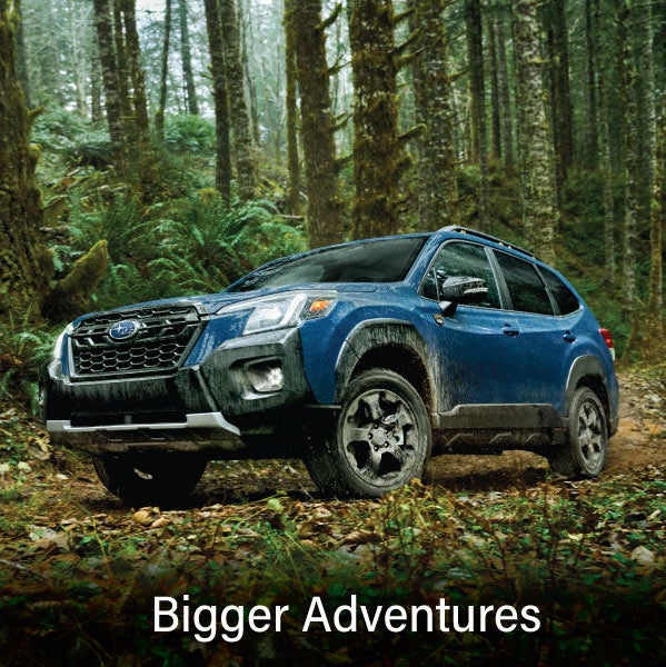 A blue Subaru outback wilderness with the words &ldquo;Bigger Adventures&ldquo;. | Stevens Creek Subaru in Santa Clara CA