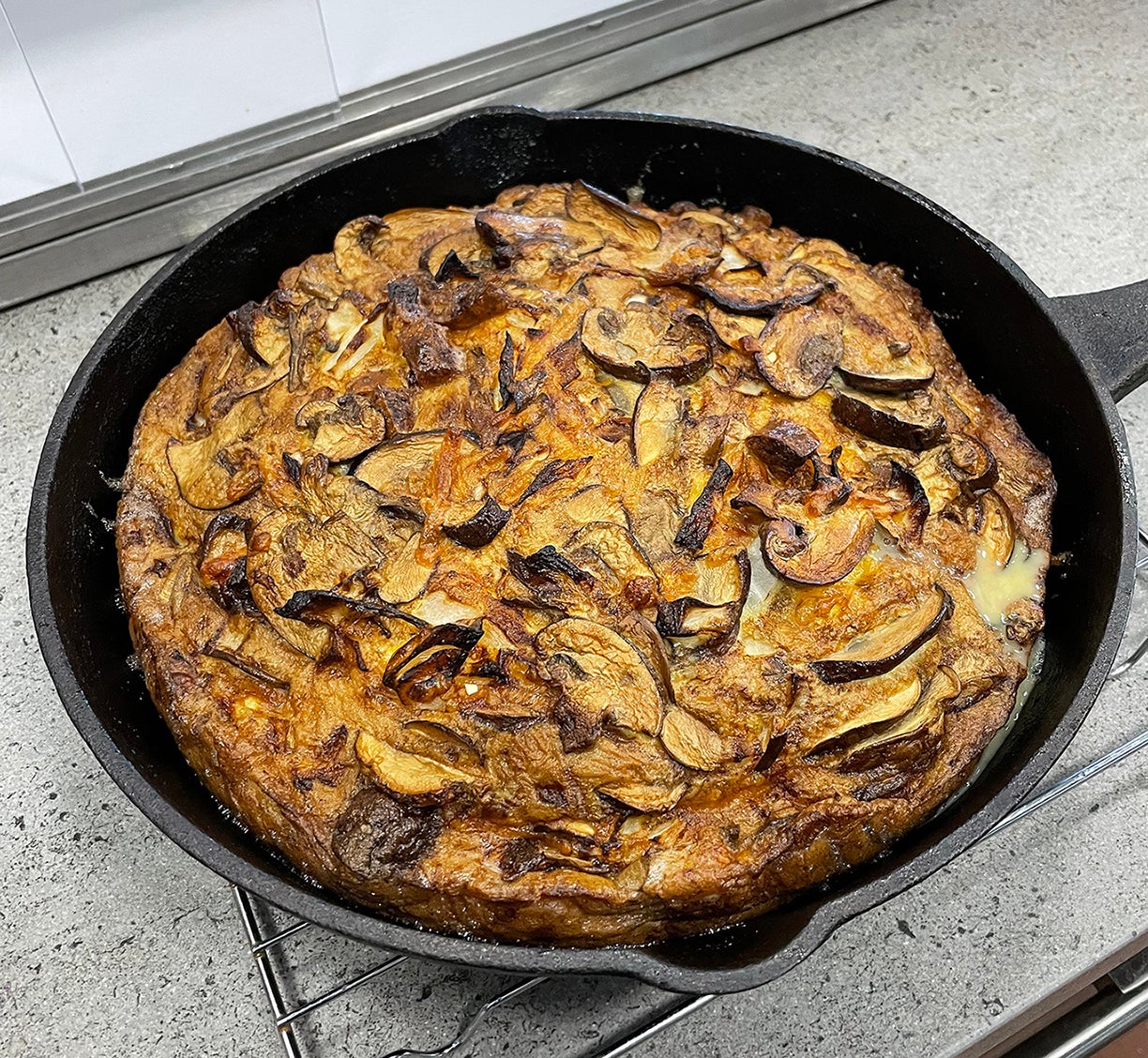 Stevens Creek Subaru @ Santa Clara