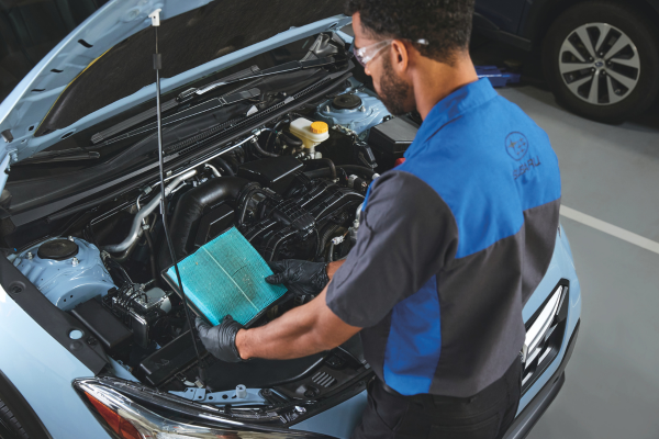 Cabin and Air Filters