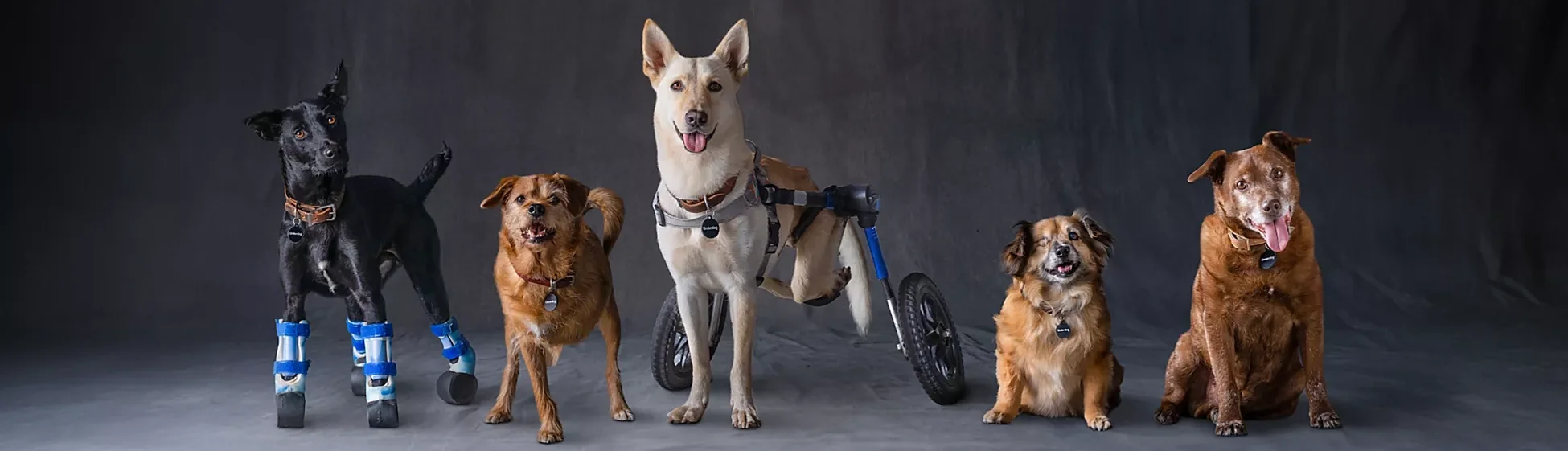 Stevens Creek Subaru in Santa Clara CA