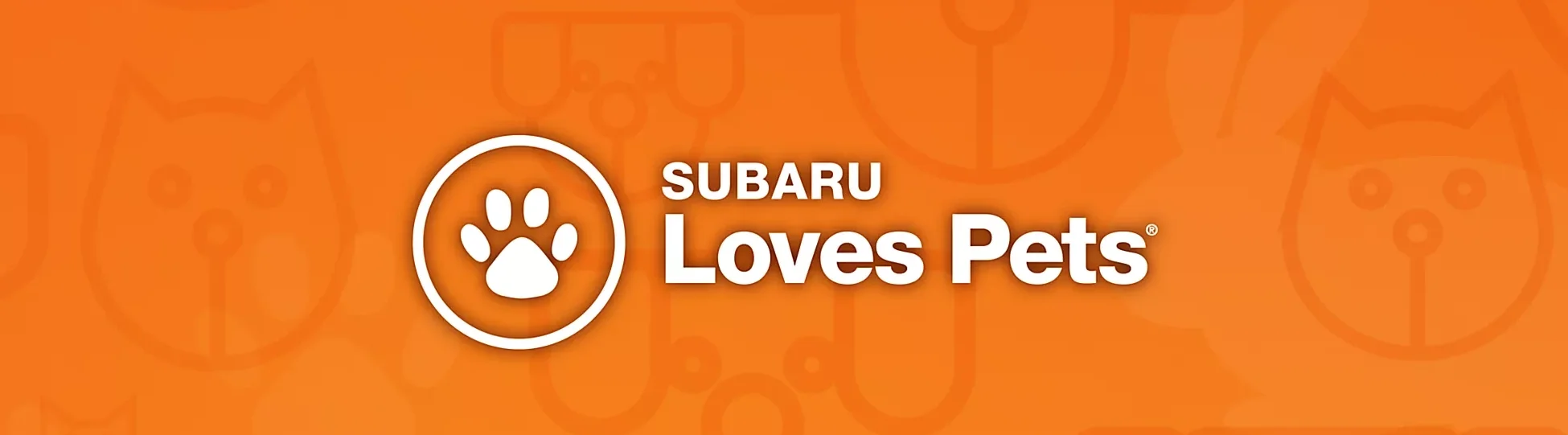 Stevens Creek Subaru in Santa Clara CA