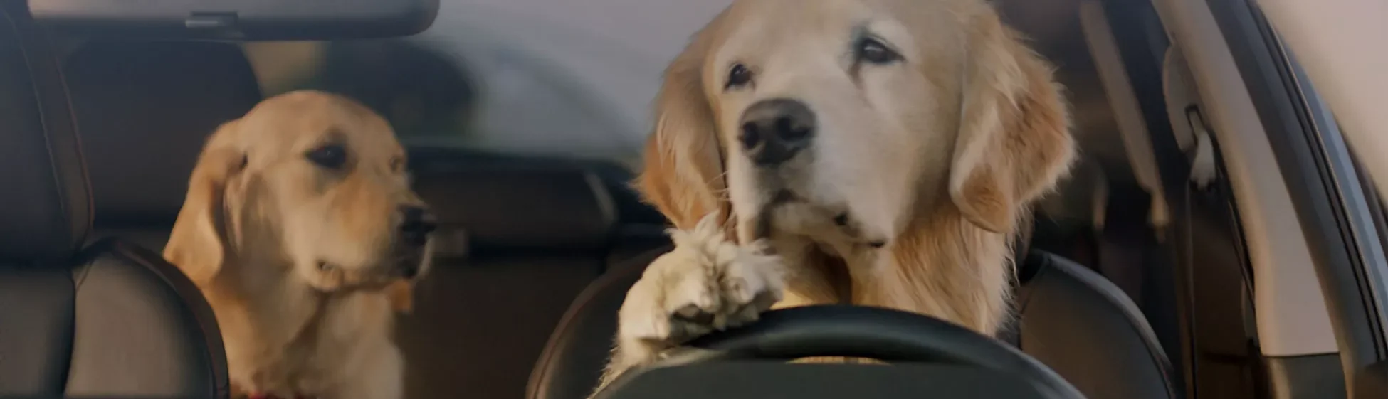 Stevens Creek Subaru in Santa Clara CA